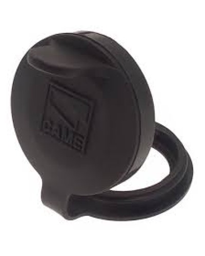 Защита целиндра замка A4366 Came 119RIA051 в Ачинске Запчасти для шлагбаумов и автоматики Pintop.ru