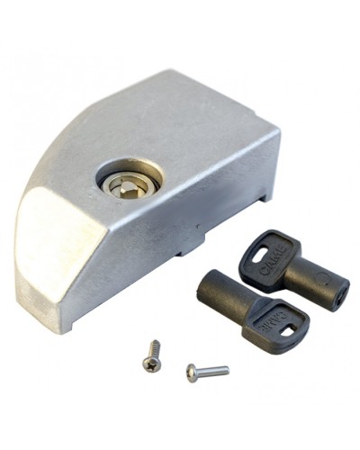 Дверца замка разблокировки BK Came 119RIBK012 в Ачинске Запчасти для шлагбаумов и автоматики Pintop.ru