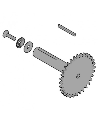 Звездочка C003 C004 C005 Came 119RICX013 в Ачинске Запчасти для шлагбаумов и автоматики Pintop.ru