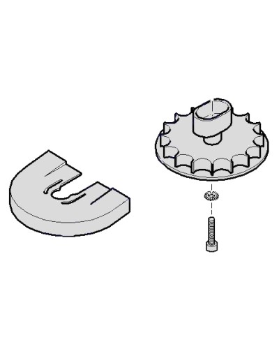 Шестеренка для C001 Came 119RICX004 в Ачинске Запчасти для шлагбаумов и автоматики Pintop.ru