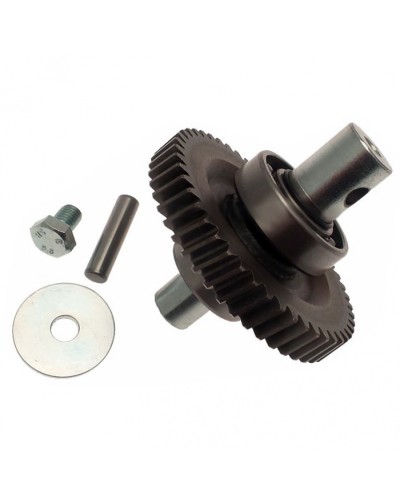 Шестерня редуктора FAST в сборе Came 119RID229 в Ачинске Запчасти для шлагбаумов и автоматики Pintop.ru