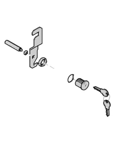 Замок дверцы G4040 G4041 Came 119RIG176 в Ачинске Запчасти для шлагбаумов и автоматики Pintop.ru