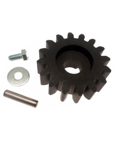 Шестерня ведущая BXV Came 119RIBS001 в Ачинске Запчасти для шлагбаумов и автоматики Pintop.ru