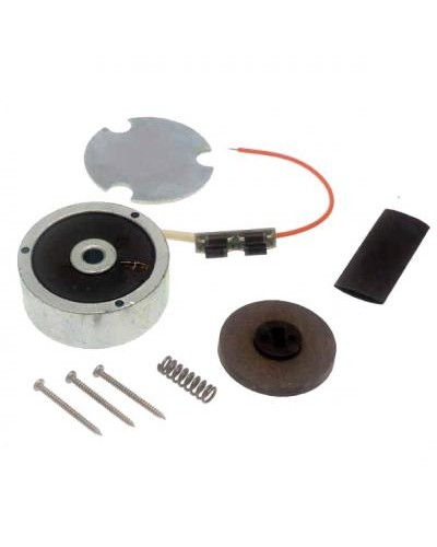 Электромагнит ATI 24 в сборе Came 119RID140 в Ачинске Запчасти для шлагбаумов и автоматики Pintop.ru