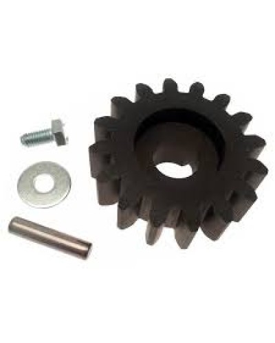Шестерня для цепной передачи Came 119RIBK036 в Ачинске Запчасти для шлагбаумов и автоматики Pintop.ru