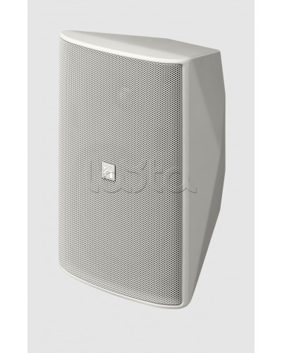 Громкоговоритель 2 полосный TOA F-1300WT в Ачинске Системы оповещения и трансляции TOA Pintop.ru