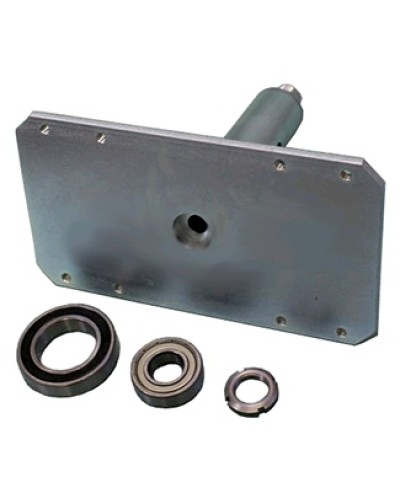 Электромагнит с механизмом разблокировки Came 119RIH022 в Ачинске Запчасти для шлагбаумов и автоматики Pintop.ru