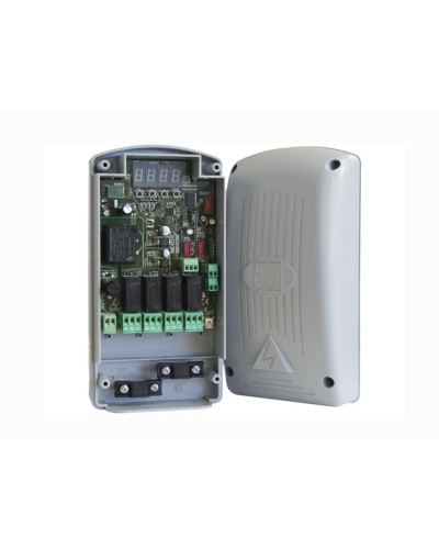 Радиодекодер Came 806RV-0010 в Ачинске Запчасти для шлагбаумов и автоматики Pintop.ru