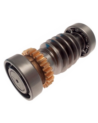 Червяк FROG Came 119RIA016 в Ачинске Запчасти для шлагбаумов и автоматики Pintop.ru