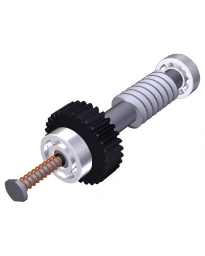 Червяк редуктора FAST40 Came 119RID374 в Ачинске Запчасти для шлагбаумов и автоматики Pintop.ru