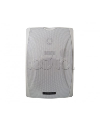 IP-громкоговоритель DSPPA POE-6463W в Ачинске Система оповещения и трансляции Dsppa Pintop.ru