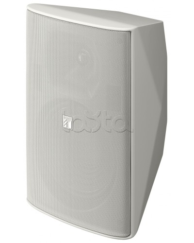 Громкоговоритель 2 полосный TOA F-2000 WT в Ачинске Системы оповещения и трансляции TOA Pintop.ru