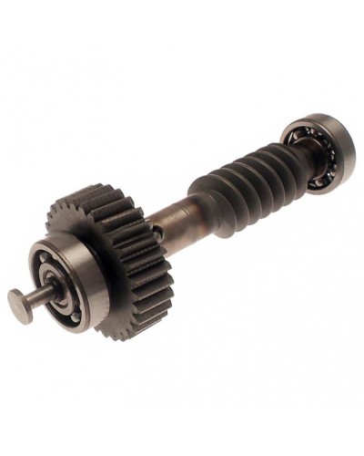 Червяк редуктора FAST в сборе Came 119RID228 в Ачинске Запчасти для шлагбаумов и автоматики Pintop.ru