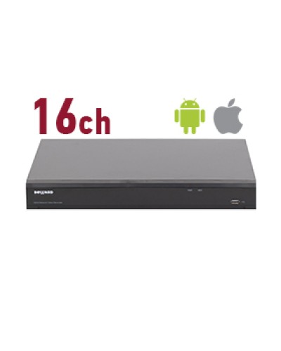 IP-видеорегистратор Beward RK2216 в Ачинске Системы видеонаблюдения Pintop.ru