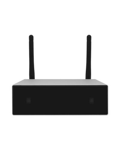 Усилитель потоковой передачи WIFI DSPPA DW-0250 в Ачинске Система оповещения и трансляции Dsppa Pintop.ru