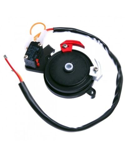 Концевые микровыключатели в сборе BX-243 Came 119RIBX041 в Ачинске Запчасти для шлагбаумов и автоматики Pintop.ru