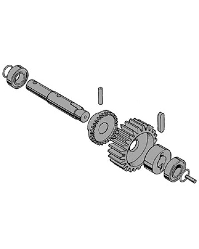 Вал в сборе C-BY Came 119RIC031 в Ачинске Запчасти для шлагбаумов и автоматики Pintop.ru