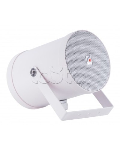 Двунаправленный Прожектор звуковой ROXTON SW-10T2 в Ачинске Система оповещения и трансляции Roxton Pintop.ru