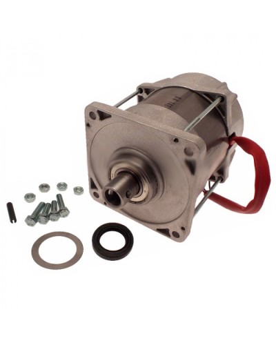 Электродвигатель FERNI Came 119RID087 в Ачинске Запчасти для шлагбаумов и автоматики Pintop.ru