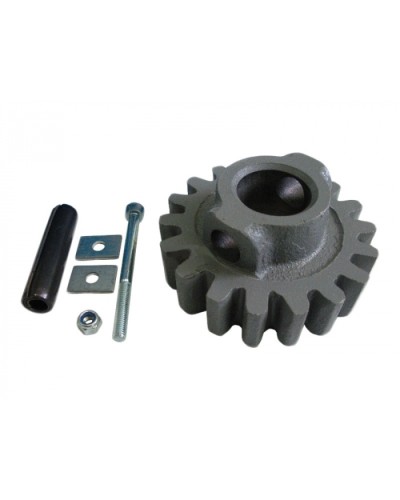 Шестерня ведущая ВК Came 119RIBK002 в Ачинске Запчасти для шлагбаумов и автоматики Pintop.ru