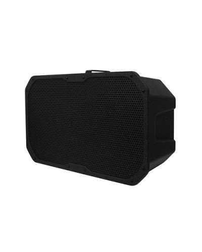 Акустическое устройство DSPPA LRAS-1830 в Ачинске Система оповещения и трансляции Dsppa Pintop.ru