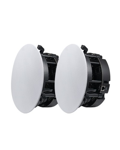 Двухполосный потолочный динамик DSPPA DW-2235 в Ачинске Система оповещения и трансляции Dsppa Pintop.ru