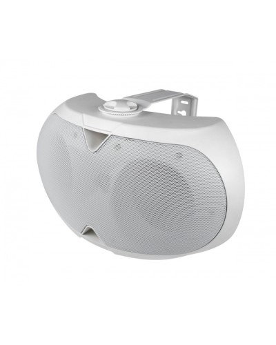 Громкоговоритель настенный 2-х полосный VOLTA ELLIPSE-2440TW в Ачинске Система оповещения и трансляции Volta Pintop.ru