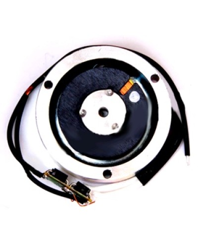 Электромагнит BY1500T Came 119RIY034 в Ачинске Запчасти для шлагбаумов и автоматики Pintop.ru