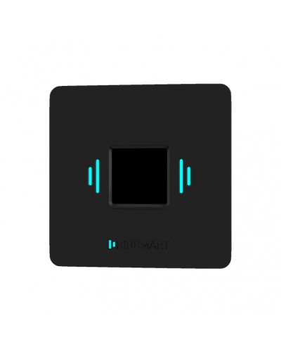 Считыватель вен ладоней BioSmart PALMJET BOX (крепление на плоскость) в Ачинске Считыватели Pintop.ru