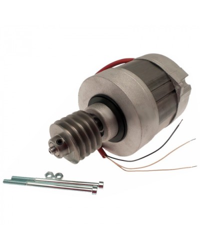 Электродвигатель BX-A, BX-74 в сборе Came 119RIBX016 в Ачинске Запчасти для шлагбаумов и автоматики Pintop.ru