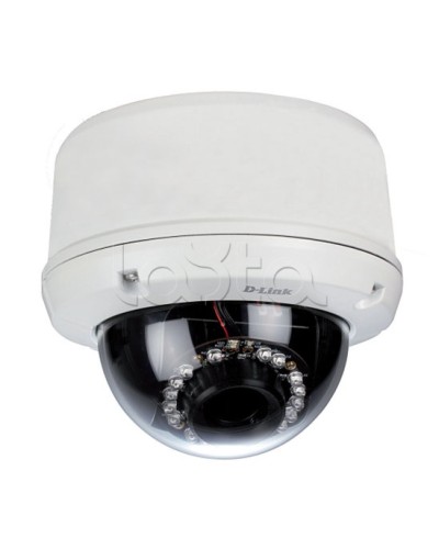 IP-камера видеонаблюдения уличная купольная D-Link DCS-6510/EP в Ачинске IP-камеры Pintop.ru