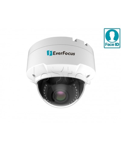 IP-камера видеонаблюдения купольная EverFocus EHN-2550 в Ачинске IP-камеры Pintop.ru