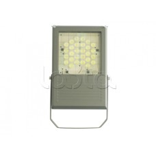 Прожектор светодиодный Forteza ФОСФОР-40/60