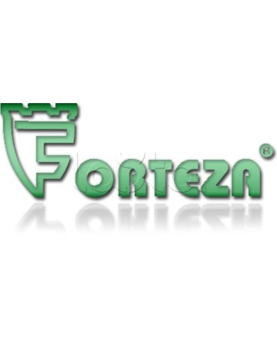 Плата сменная Forteza Плата БГр-4 в Ачинске Устройства защиты операционных процессоров (ОПС) Pintop.ru