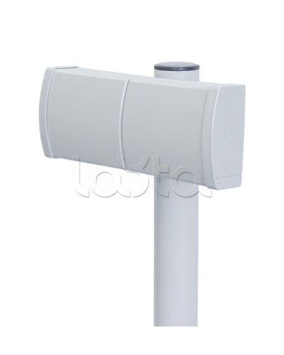 Извещатель радиоволновой однопозиционный Forteza ЗЕБРА-42(5,8)-В (веер) в Ачинске Извещатели охраны периметра Pintop.ru