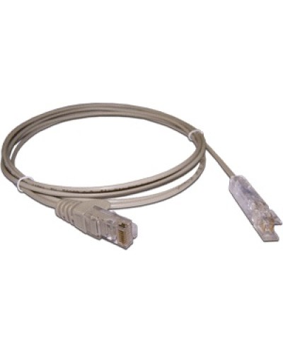Патч-корд 110 тип - RJ45, 1 пара, UTP, 2 м LANMASTER LAN-45-P1-2m в Ачинске Патч-корды и пигтейлы Pintop.ru