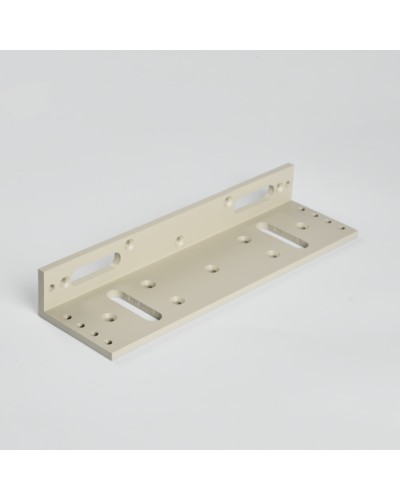 Монтажный аксеcсуар R-Lock RL-BR500-LG в Ачинске Дополнительное оборудование для СКУД Pintop.ru