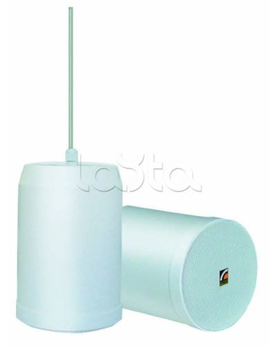 Громкоговоритель встраиваемый ROXTON SP-20T в Ачинске Система оповещения и трансляции Roxton Pintop.ru