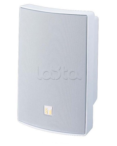 Громкоговоритель универсальный двухполосный TOA BS-1030W в Ачинске Системы оповещения и трансляции TOA Pintop.ru