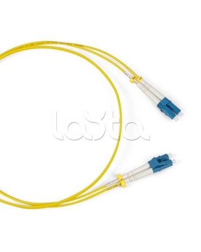 Патч-корд оптический TWT-2FC-2LC/SAU-10 в Ачинске Патч-корды оптические Pintop.ru