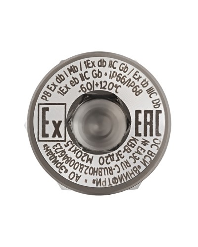 Оконечная заглушка Эридан КВВ-ЗГд20-Н в Ачинске Дополнительное оборудование (Ex) Pintop.ru