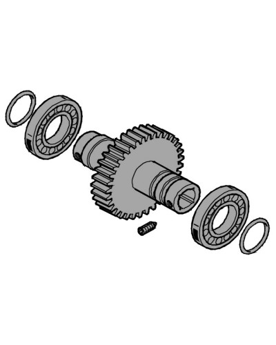 Вал выходной EMEGA Came 119RIE062 в Ачинске Запчасти для шлагбаумов и автоматики Pintop.ru