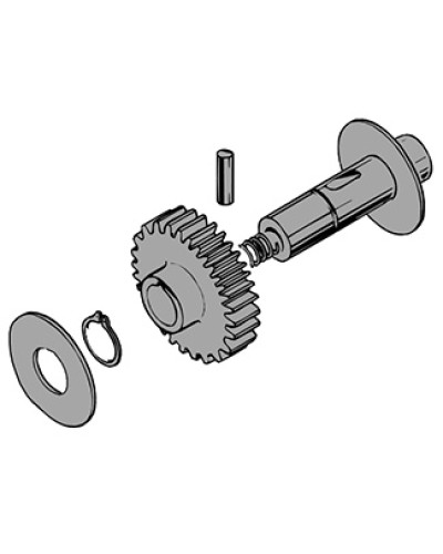 Вал в сборе C100 Came 119RIC011 в Ачинске Запчасти для шлагбаумов и автоматики Pintop.ru