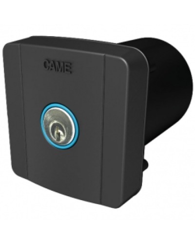 Ключ-выключатель встраиваемый Came 806SL-0020 в Ачинске Запчасти для шлагбаумов и автоматики Pintop.ru