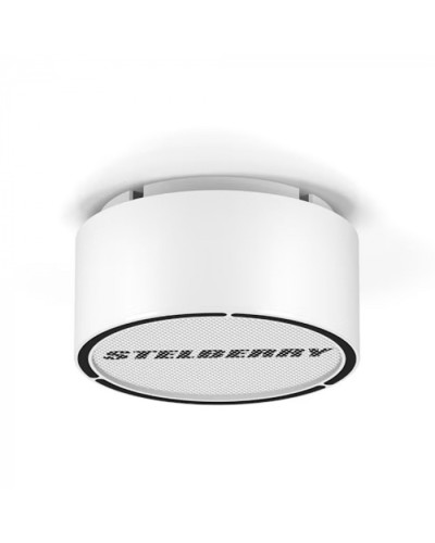 Громкоговоритель STELBERRY F-306W в Ачинске Акустические системы Pintop.ru