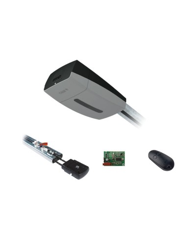 Комплект автоматики для секционных ворот Came V10DMS2.25 KIT (до 2,25 м до 18 м2) в Ачинске Автоматизация ворот Pintop.ru