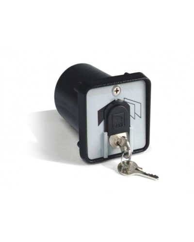 Ключ-выключатель с защитой цилиндра, встраиваемый Came 001SET-K в Ачинске Запчасти для шлагбаумов и автоматики Pintop.ru