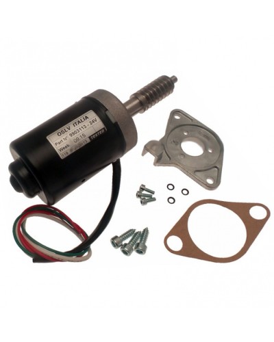 Электродвигатель BX-243 в сборе Came 119RIBX046 в Ачинске Запчасти для шлагбаумов и автоматики Pintop.ru